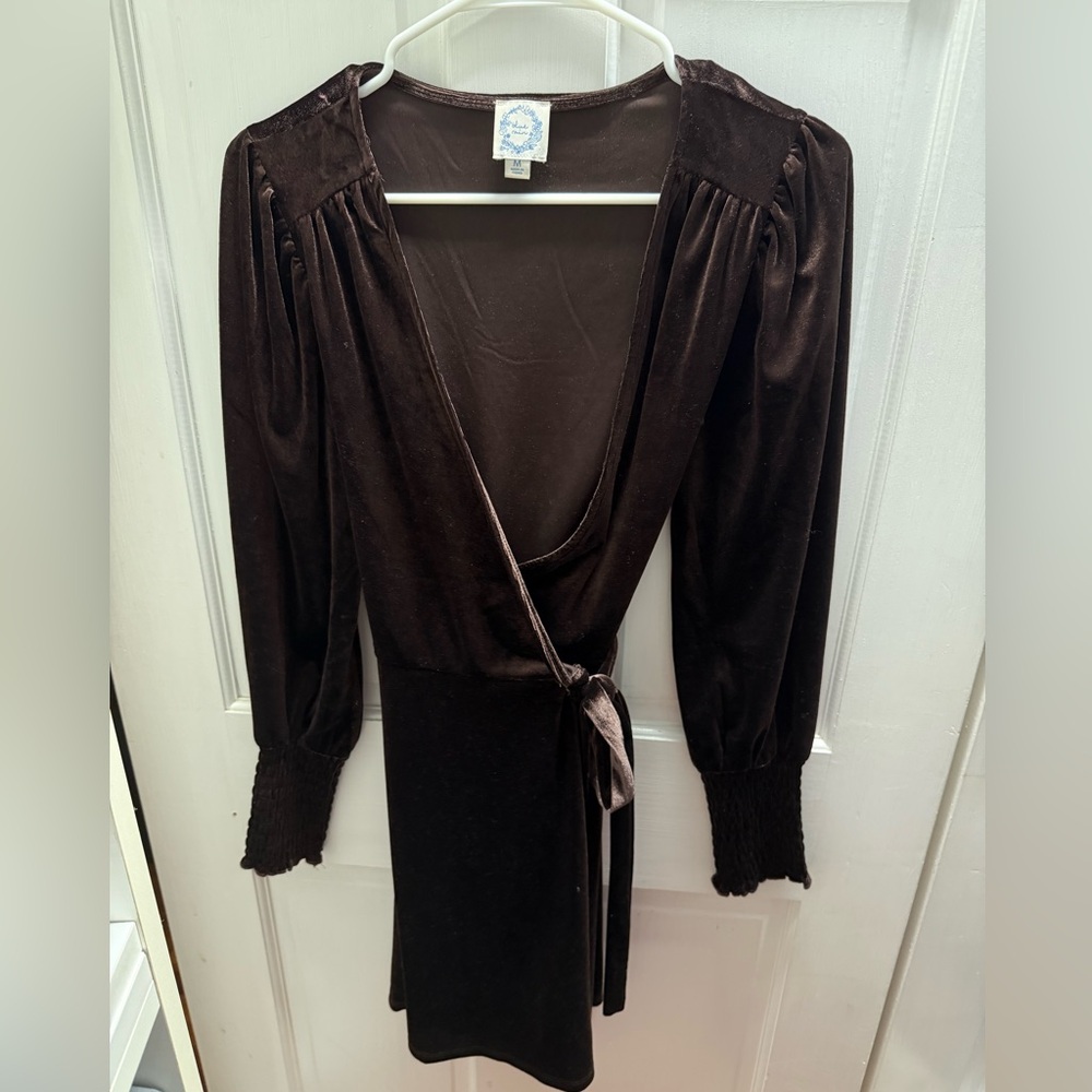 Francesca’s Brown Velvet Mini Dress